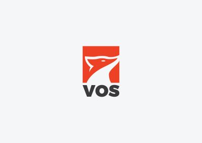 VOS Custom Logo Design