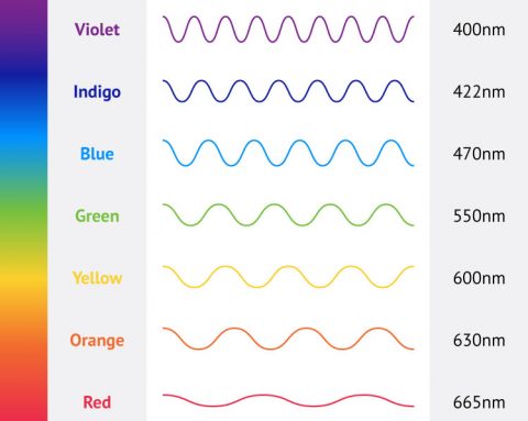 Why There Are 7 Colors In The Rainbow? - PMLogos