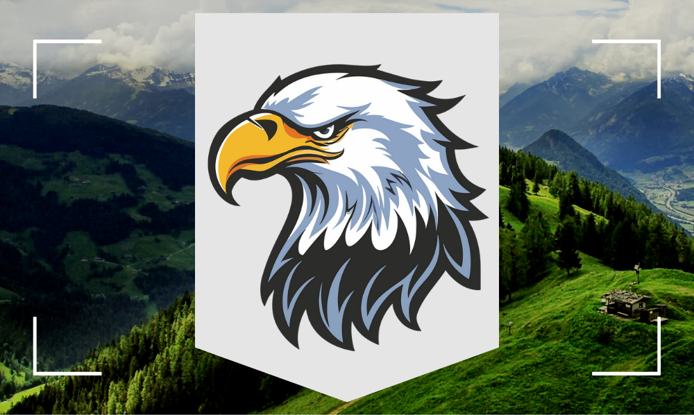 Eagle Logo Design Templates for U.S. Brands